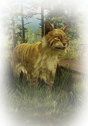Icono del item "Gato salvaje"